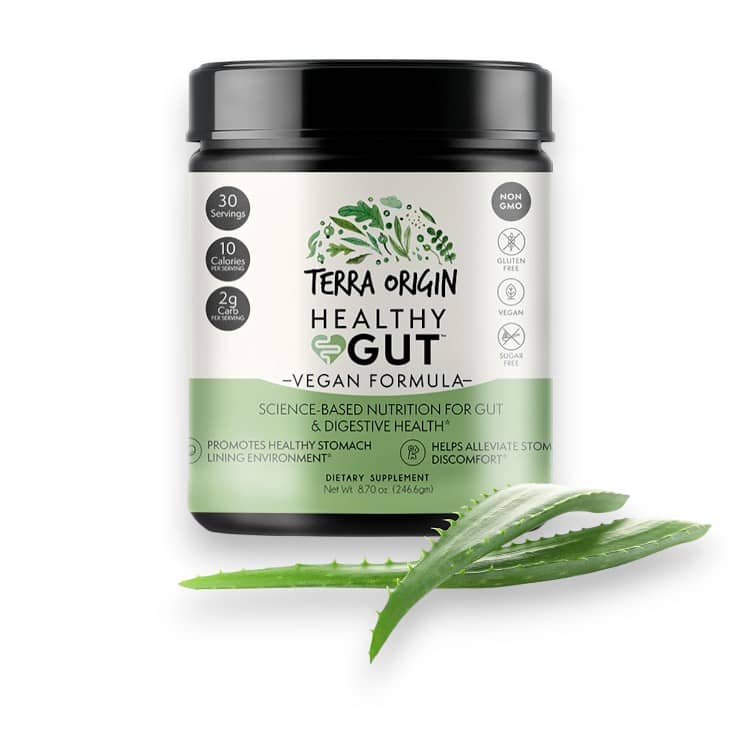 Terra Origin, Healthy Gut™, Vegan Formula, 8.7 oz (246.6 g) 1