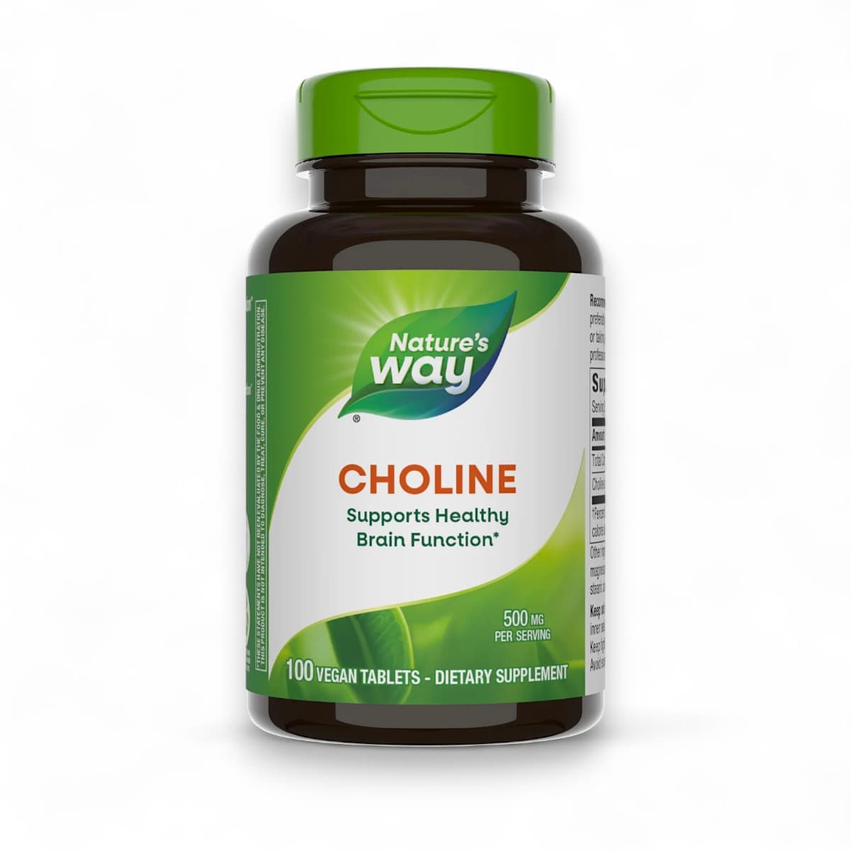 Nature's Way, Choline, 500 mg, 100 Vegan Tablets